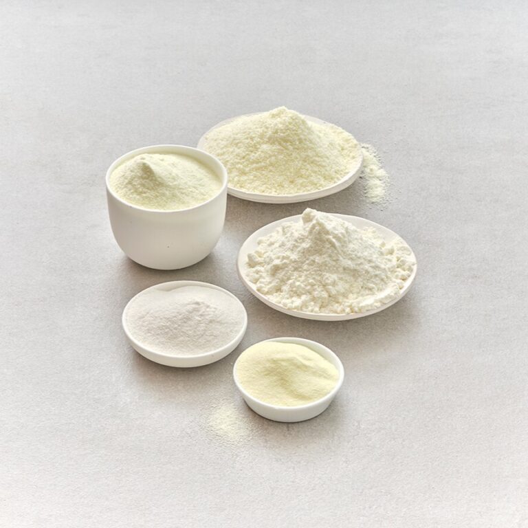 Différentes poudres de lait dans des bols