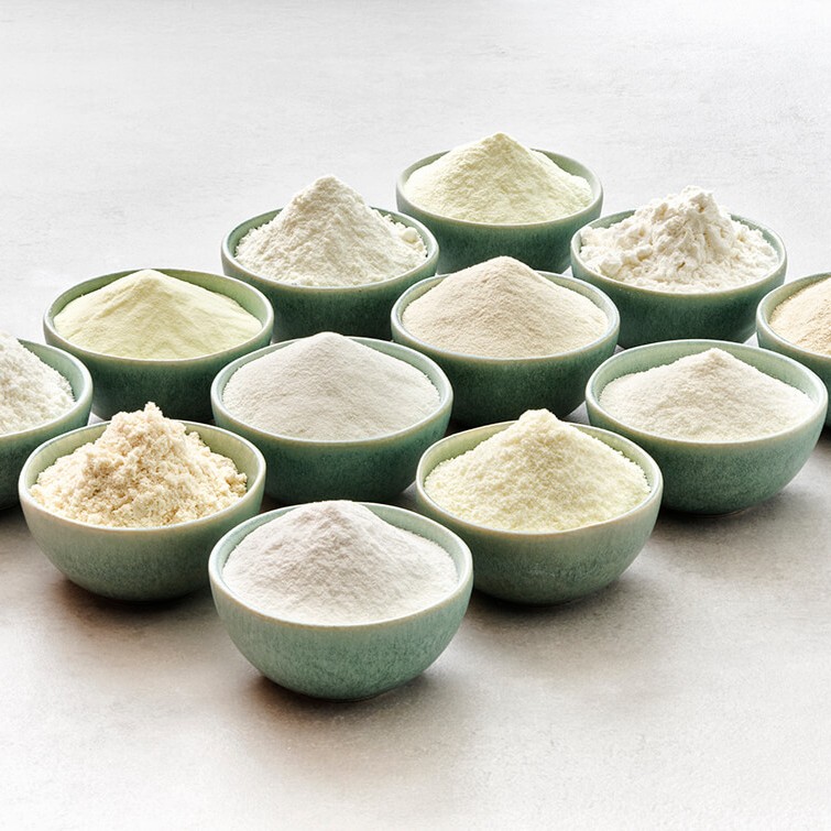 Différentes protéines laitières dans des bols