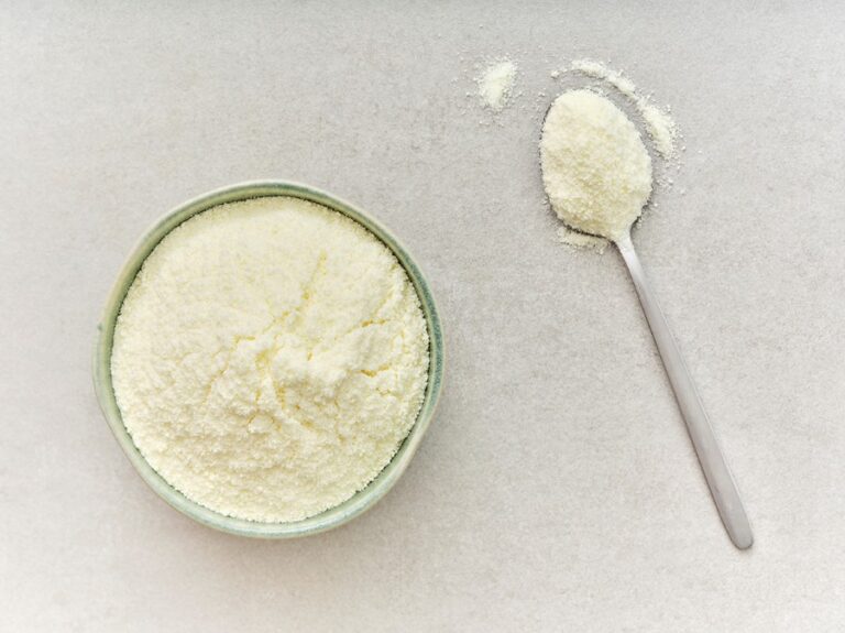 Poudre de lait entier dans un bol